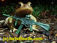 /home//u458753944/public_html/sourcegallery////Roxborough Toad Detour/2021/2021-03-31/P3310143.JPG